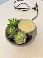 Top view showing grey bowl warmer, clear wax dish, three faux succulents, black pebbles, attached power cord