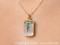 Pendant worn on neck showing scale and chain