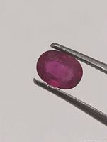 Close-up of oval ruby held by tweezers