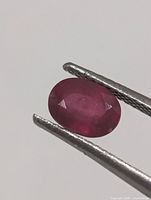 Close view of faceted oval ruby held by tweezers