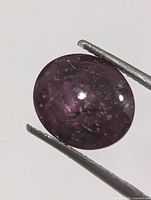 Front view of oval cabochon star ruby held by tweezers