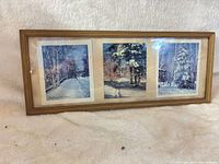 Full view of framed triptych showing frame, mat, and three prints