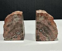 Front view of both petrified wood bookends showing polished faces and rough tops