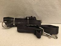 Leash and collar set coiled on surface