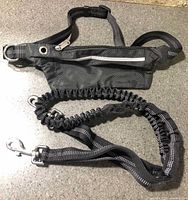 Full view of waist belt with pouch and attached bungee leash