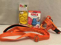 Harness, leash, Kong toy, PawZ boots group shot