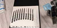 Top tray of case showing 12 assorted knives with wood handles in foam cut-outs