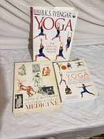 All three books front covers visible