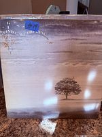 Front cover of Genesis Wind & Wuthering LP showing album artwork