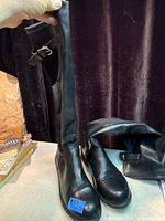 Pair of tall black boots standing upright