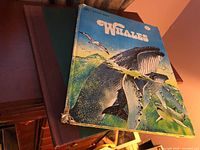 Cover view of Whales book stacked over Nutcracker Ballet book showing sizes and cover art.