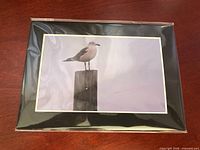 Front view of matted photo in sleeve