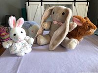 All four plush bunnies side by side on table