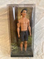 Front of boxed Jacob Black Barbie Collector doll