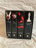 Spine view of all four novels in slipcase