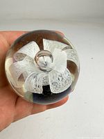 Top view showing white flower encased in clear glass