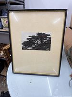 Front view showing photograph, mat and frame