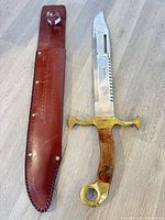Sword and sheath full view