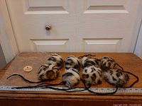 Eight faux fur leopard print pom-poms aligned with ruler and strings visible