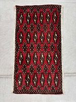 Full view of Torkaman rug showing pattern and fringe