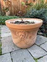 Front view of terracotta planter showing lion head relief and overall shape