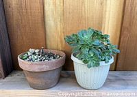 Both planter pots side by side against wood backdrop