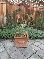 Planter with plant in backyard setting full view