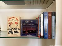 Shelf with eight San Francisco themed books showing two full covers and six spines