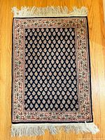 Full view of rug showing overall design and fringe