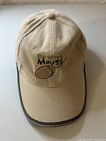 Full view of cap front showing embroidery and trim