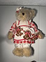 Front view of tan plush teddy bear wearing gingham dress, gingerbread apron, holding whisk