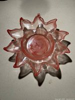 Top view showing ruffled petal edge and swirl pattern