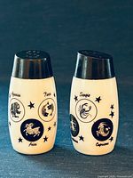 Front view of both shakers showing zodiac graphics and lids