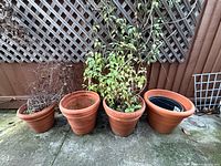 Four large terracotta pots side by side