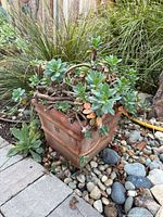 Planter and succulent in situ showing overall condition and design