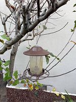 Bird feeder hanging from tree, showing overall design and condition