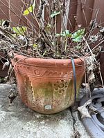 Front view of terracotta pot with dried plant showing decorative motifs and patina