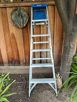 Full view of Werner aluminum step ladder showing six steps, blue top, spreader braces
