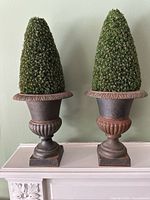 Front view showing both urns with topiary inserts