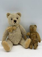 Both bears front view for scale and condition