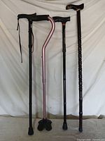 Full view of four canes standing upright