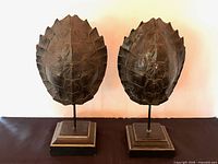 Front view of both mounted faux turtle shells on bases