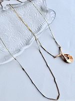 Two gold-tone necklaces on clear dish, showing full chains and pendant