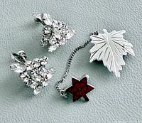 Earrings, maple leaf brooch, chain, red enamel star displayed on surface