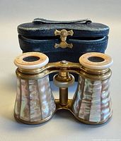 Opera glasses front view with case behind