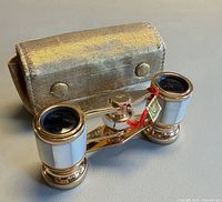 Opera glasses with case front view