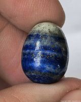Front view of blue banded lapis lazuli mini egg held between fingers