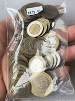 Front view of full bag showing mixed two-tone coins
