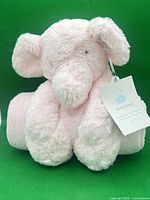 Front view of pink elephant plush sitting on rolled blanket with tag visible
