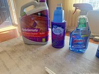 Group showing Rejuvenate floor cleaner jug, Great Value spray refill and Windex ammonia-free spray